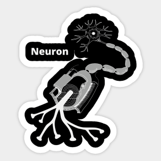 Neuron synapse anatomical structure Sticker